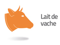 lait de vache2