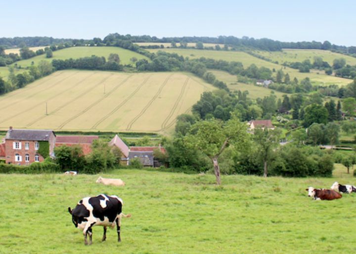 campagne normande- carnets de route 