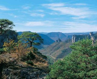 cave-de-peyrelade-gorges-tarn